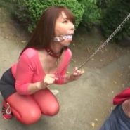 首輪とボールギャグの猿轡をつけられた母親を性処理メス犬調教